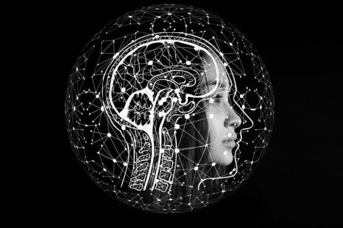 Surfing the Artificial Intelligence Wave